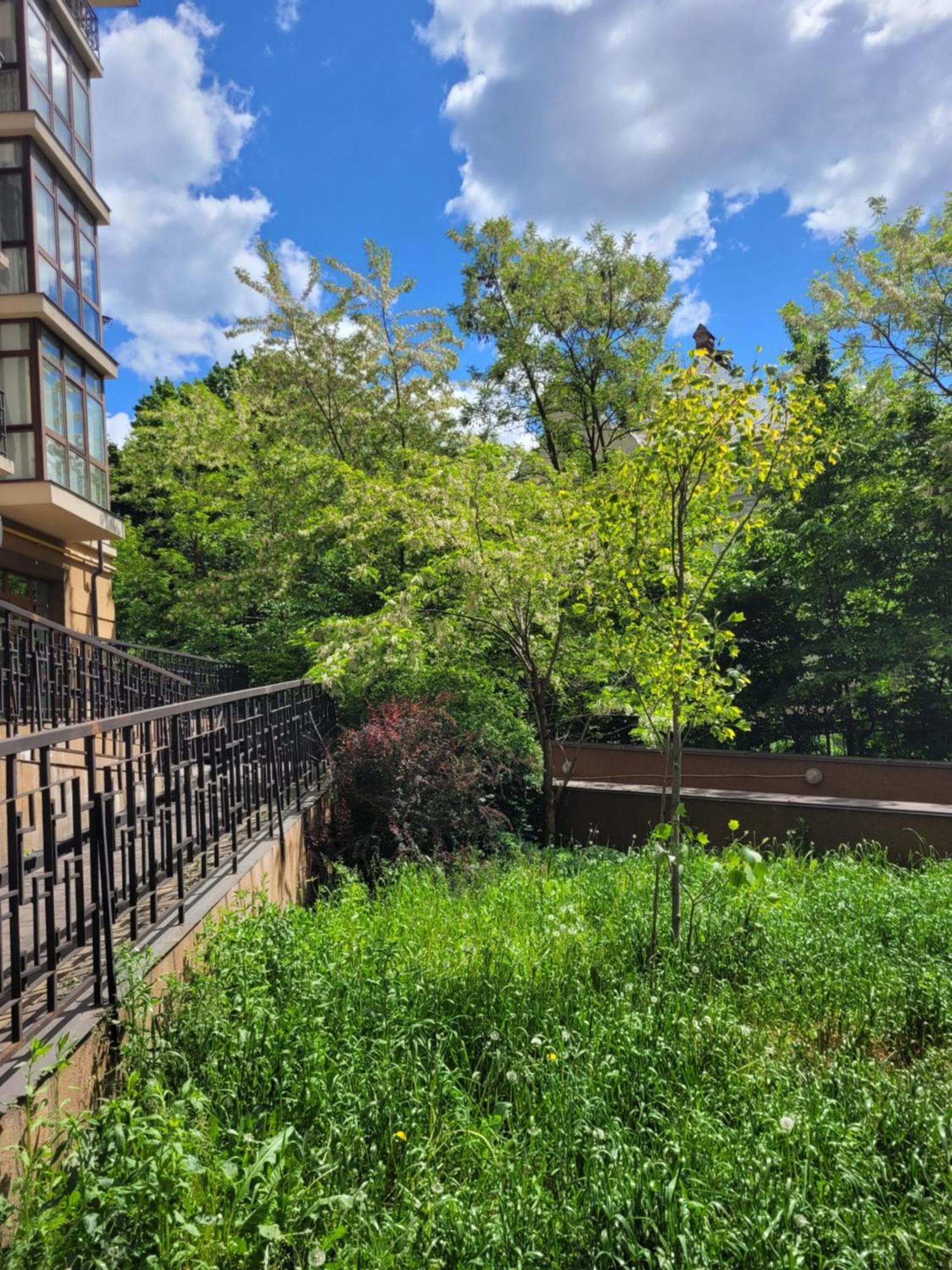 Центр, Біля Медичного Університету, Вулиця Личаківська Lviv Exterior foto